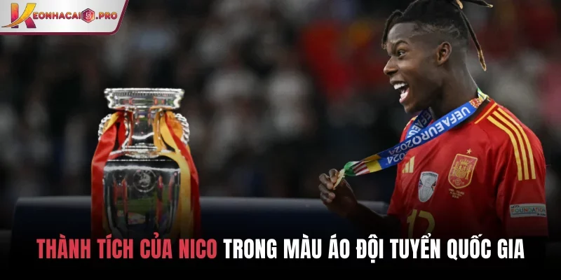 Thành tích của Nico trong màu áo đội tuyển quốc gia